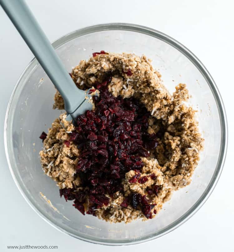 how to make no bake energy balls with cranberries