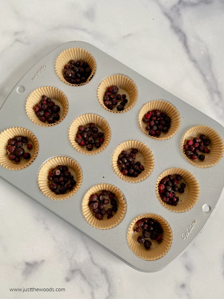 dried blueberries in muffin tin