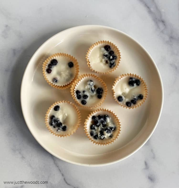 coconut cup fat bombs