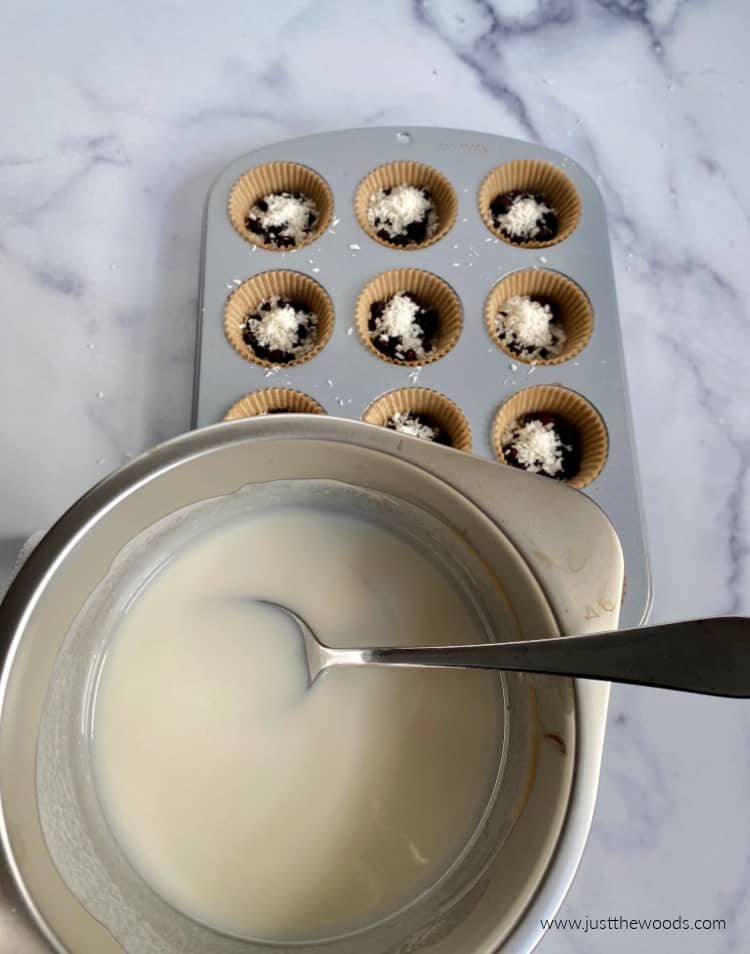 homemade coconut cups recipe