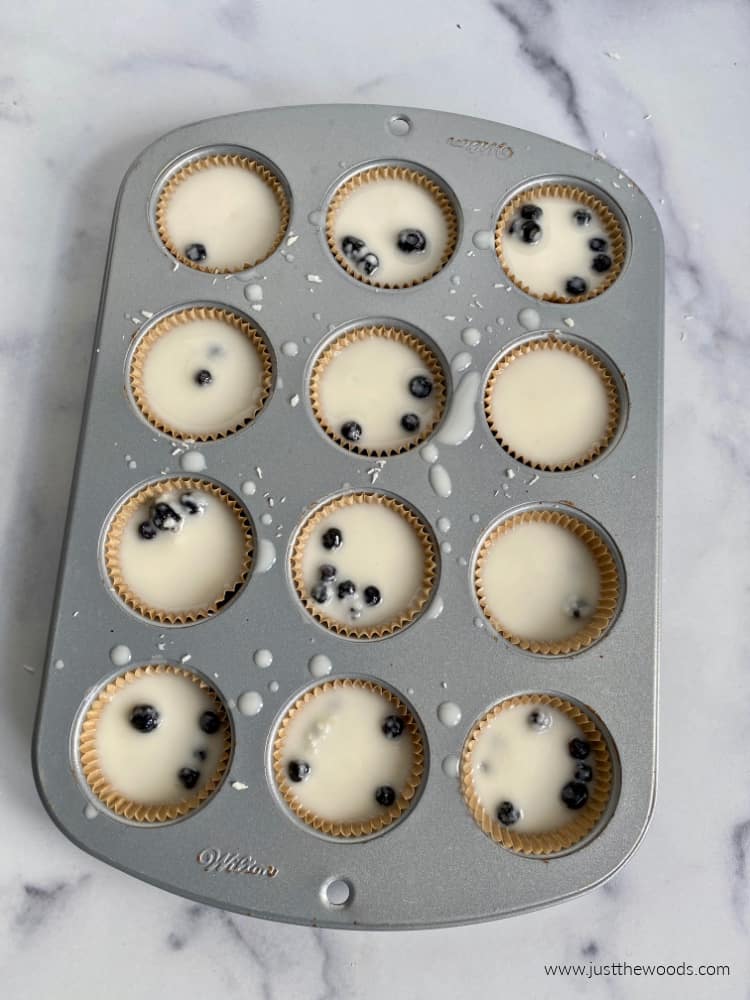 blueberry coconut cup recipe