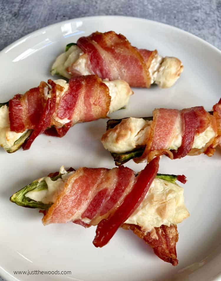 Ninja deals foodi bacon