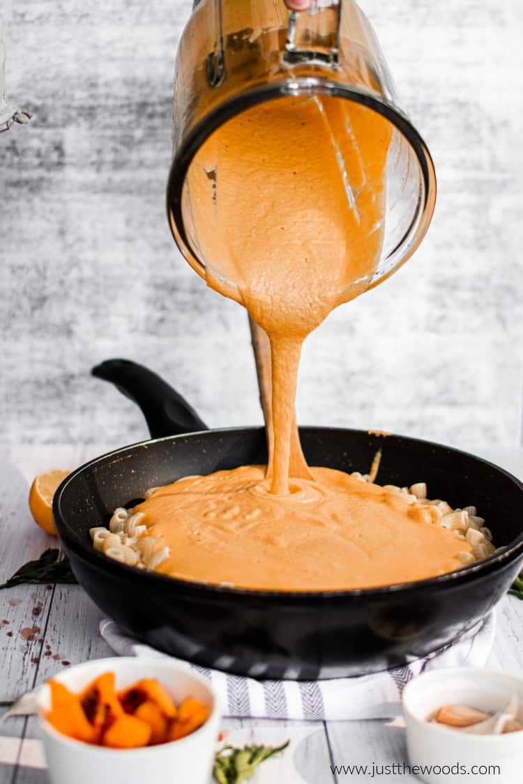 dairy free mac and cheese Vegan Macaroni and Cheese Recipe with Cashew Cheese Sauce How to Make Vegan Macaroni and Cheese with Cashew Cheese Sauce