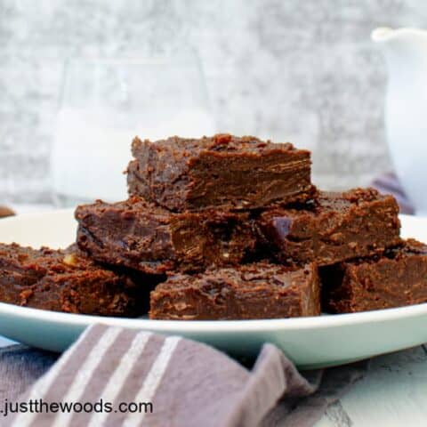 Fabulous No Bake Sugar Free Fudge Brownies