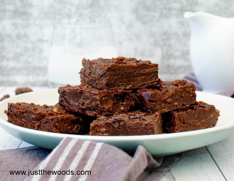 no bake sugar free chocolate brownies on a plate