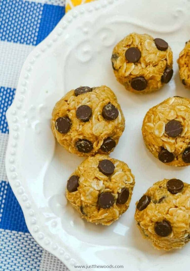 peanut butter oatmeal balls with chocolate chips Candy and Satisfying Sugar Free Dessert Concepts