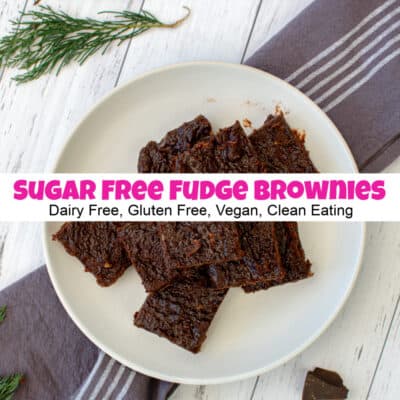 Fabulous Sugar Free Fudge Brownies