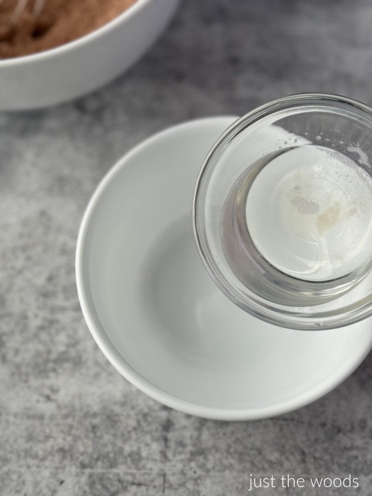 coconut oil in bowl 