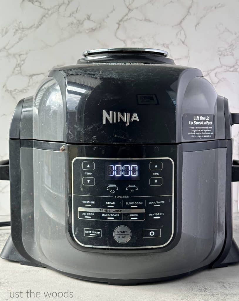 ninja foodi 