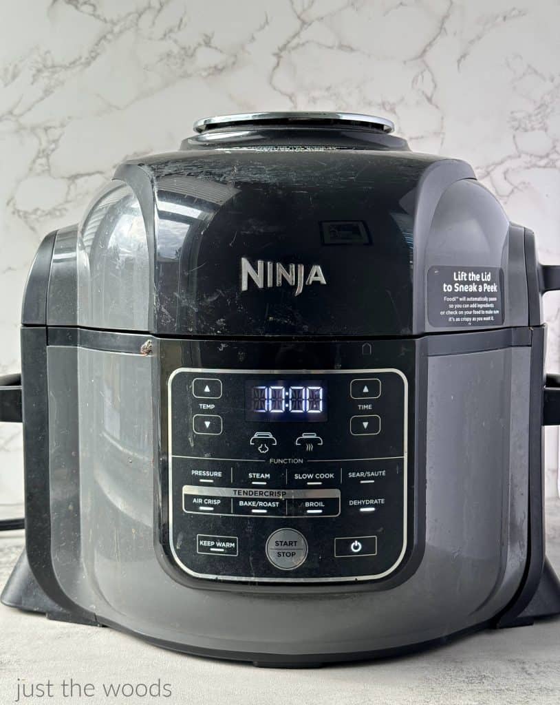 ninja foodi air fryer recipes