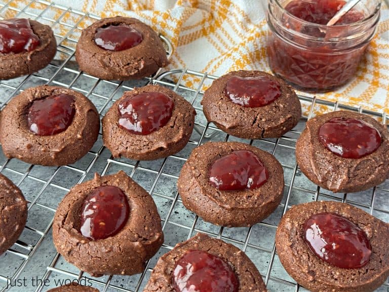 Chocolate Gluten Free Thumbprint Cookie Recipe with Jam