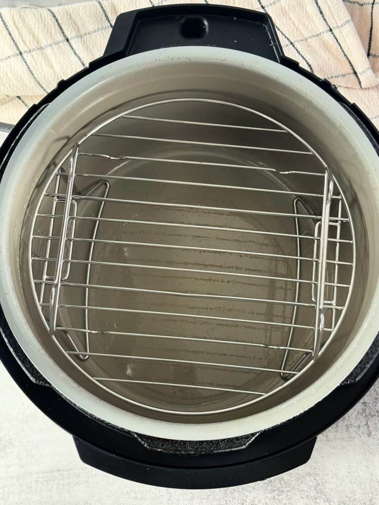 Ninja Foodi air fryer wire rack