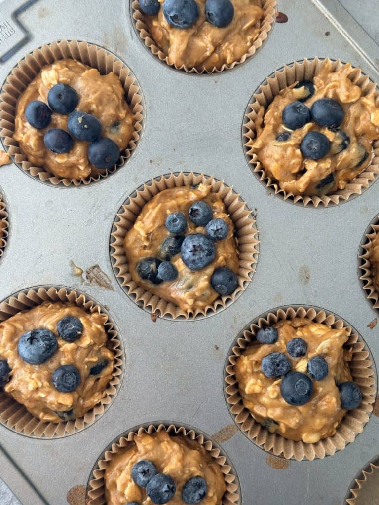 blueberry oat muffins with fresh blueberries 