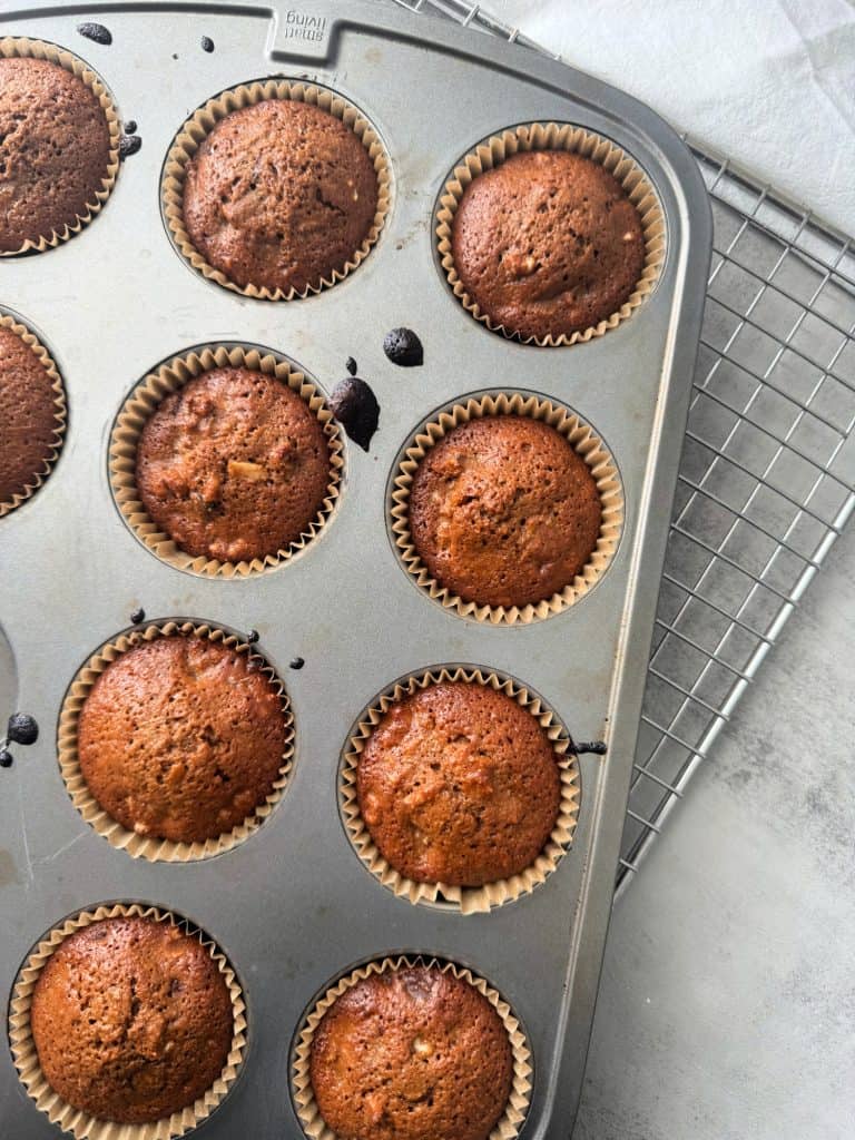 chocolate chip and walnut muffins in muffin pan on wire rack 