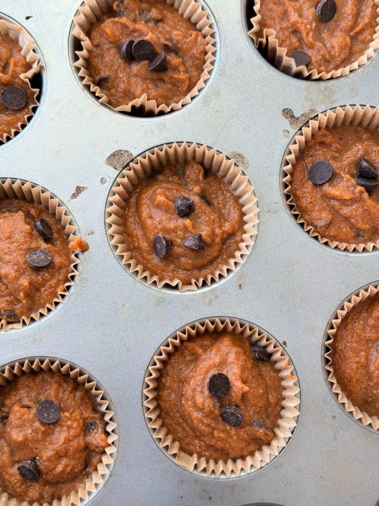 pumpkin muffins with chocolate chips