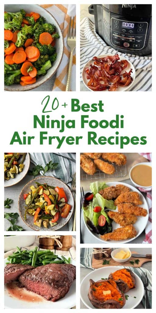 20+ Best Ninja Foodi Air Fryer Recipes