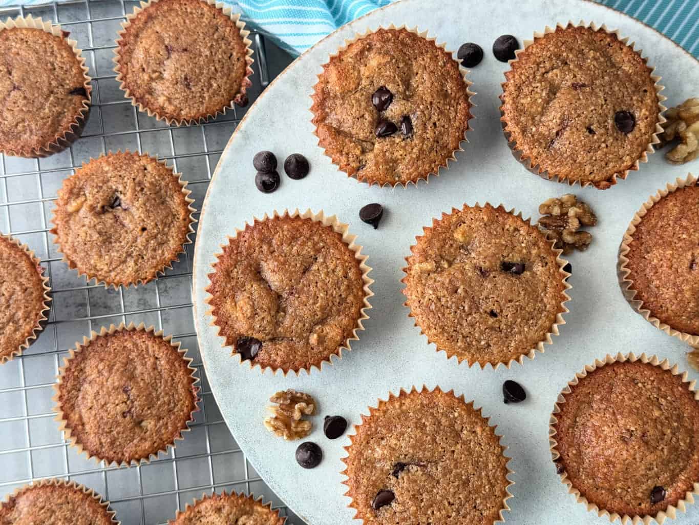 chocolate chip walnut muffin recipe