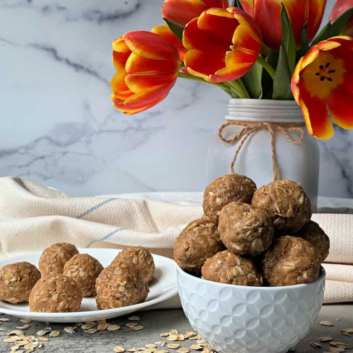 oatmeal peanut butter balls with vanilla protein