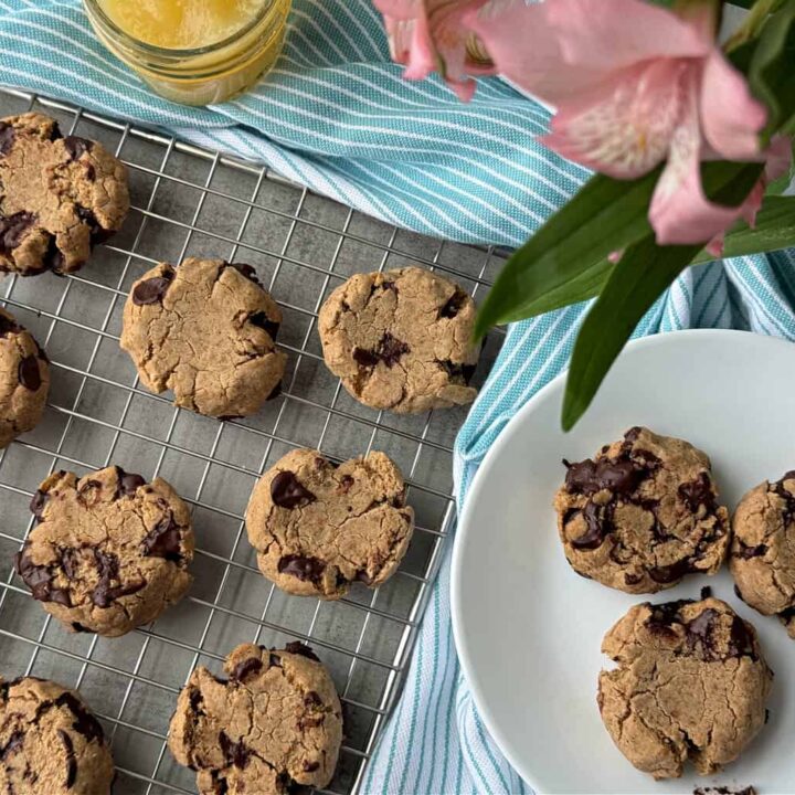 low sugar chocolate chip cookies like biscuits
