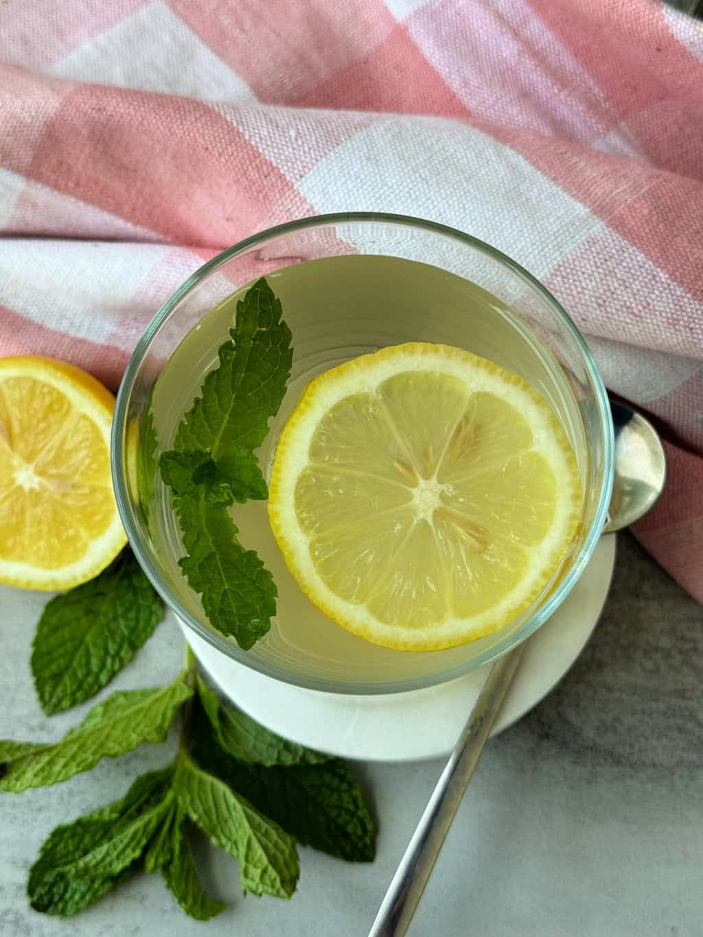 garnish with a lemon slice and sprig of fresh mint