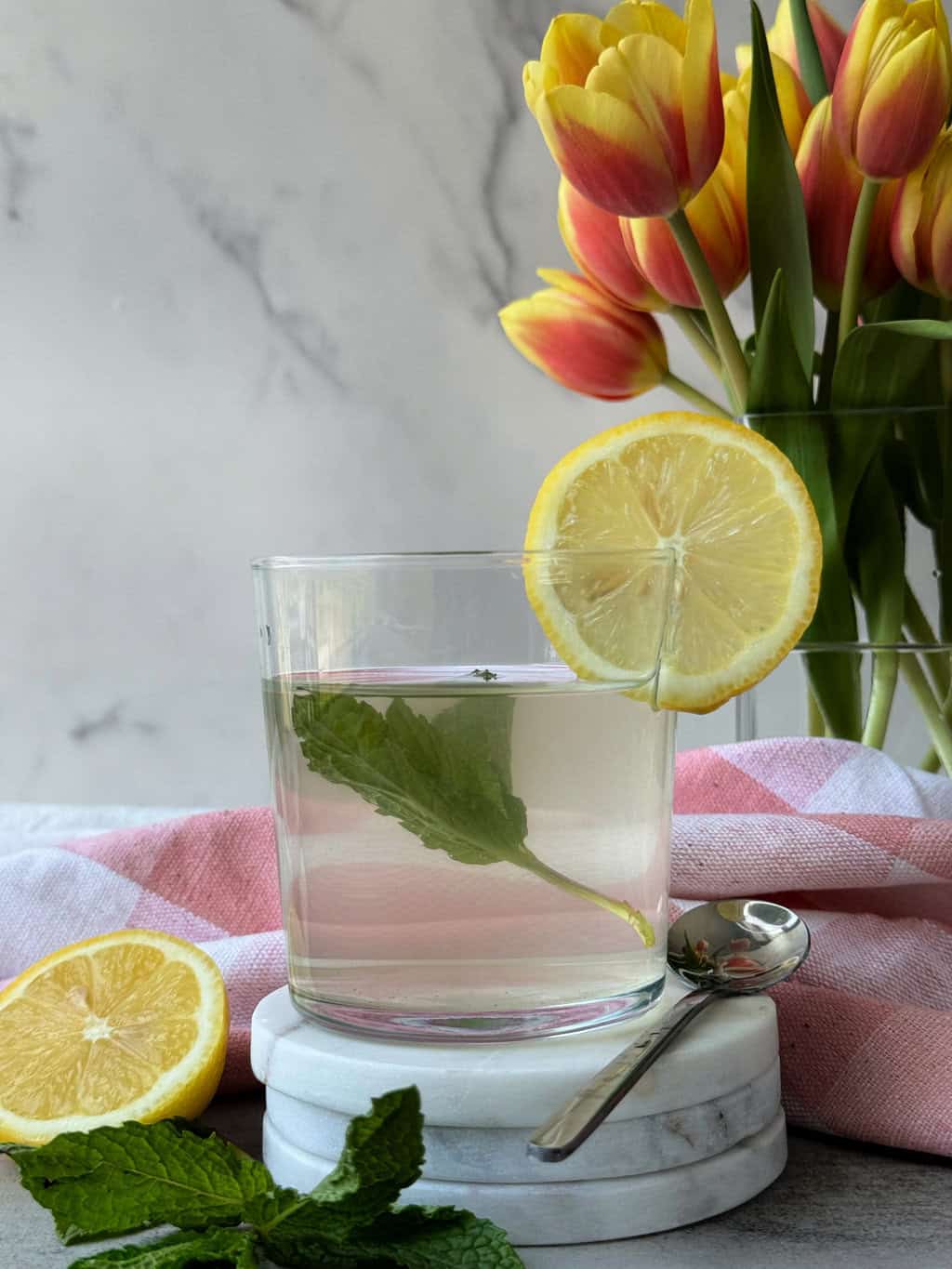 clear glass with cloudy drink garnished with lemon slice and mint leaves in glass