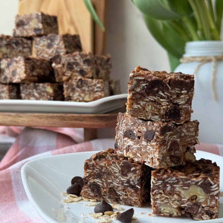 chocolate oat bars no bake