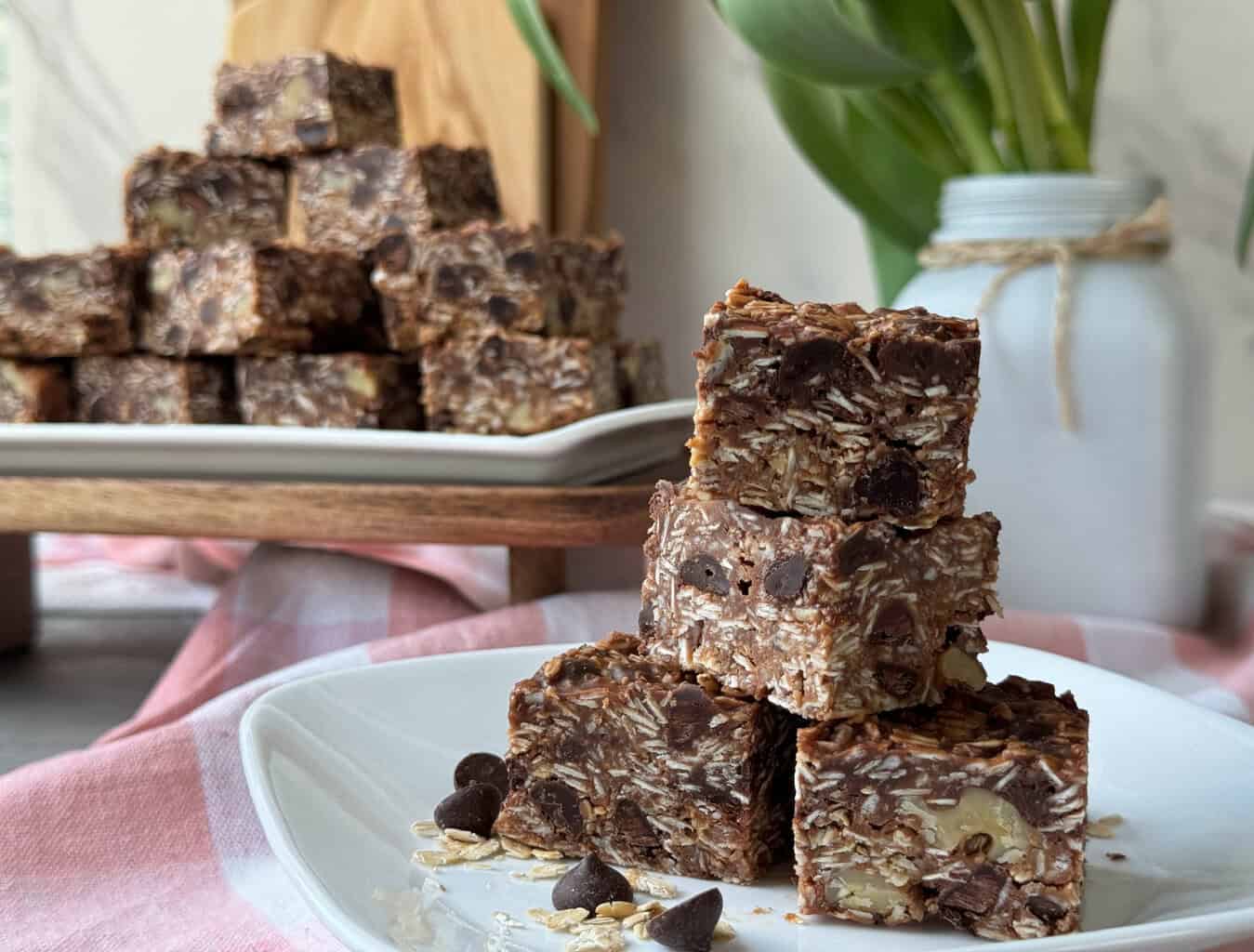 chocolate oat bars no bake