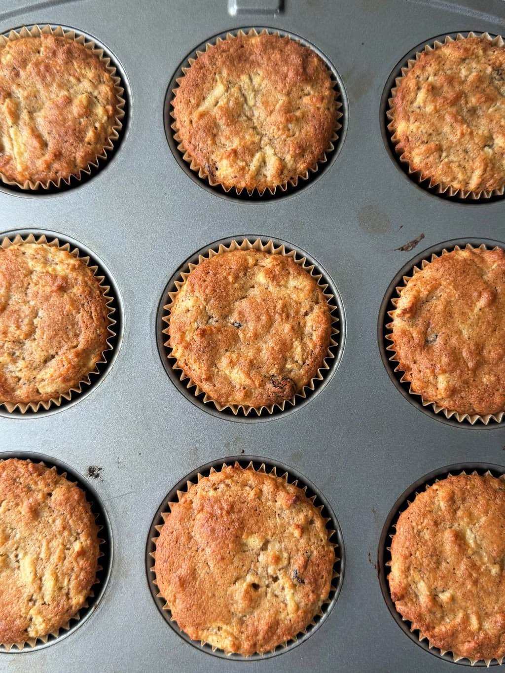 close up of homemade cinnamon apple raisin muffins in muffin pan