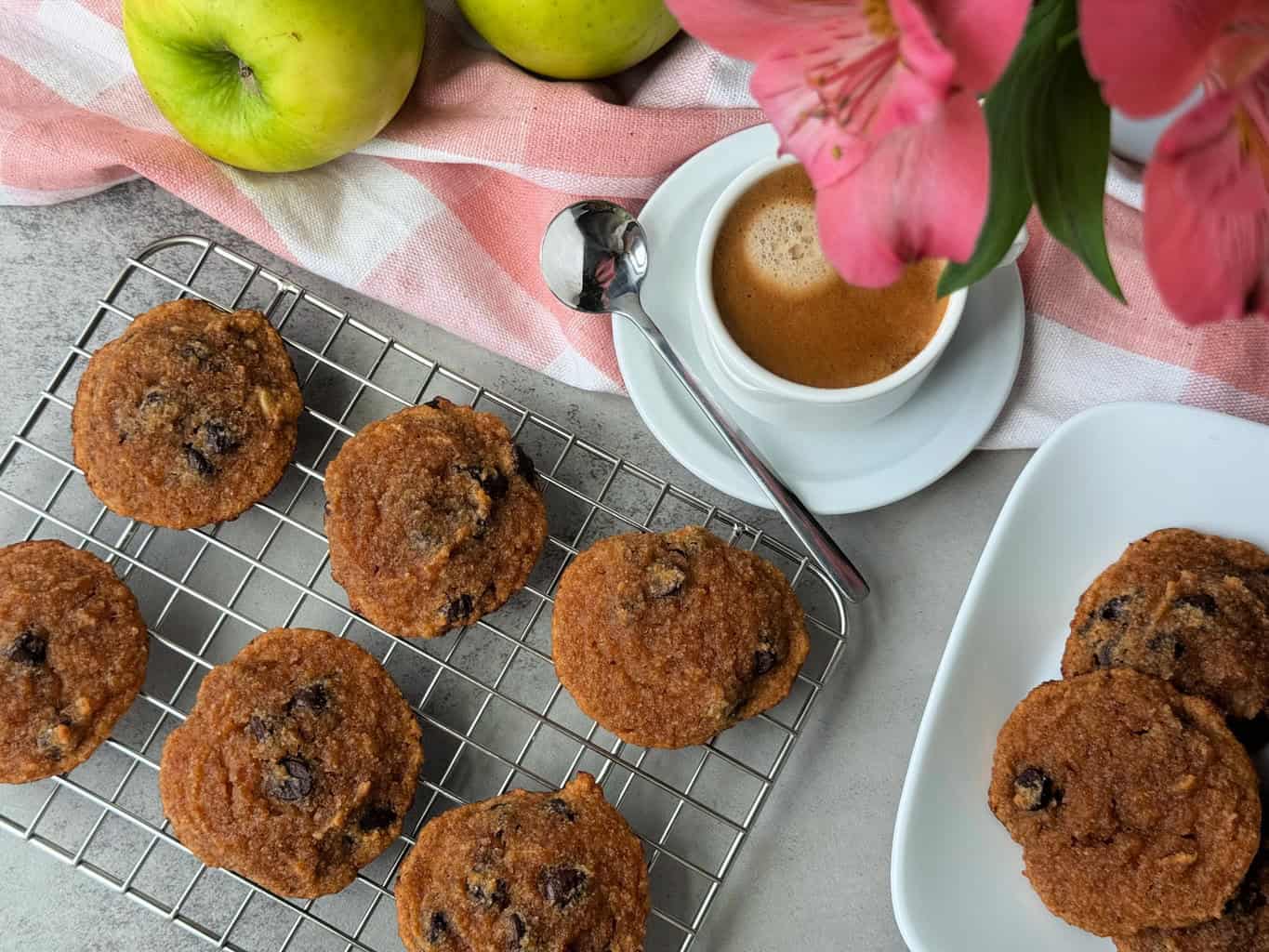 Chocolate Chip Applesauce Cookies Recipe (vegan)